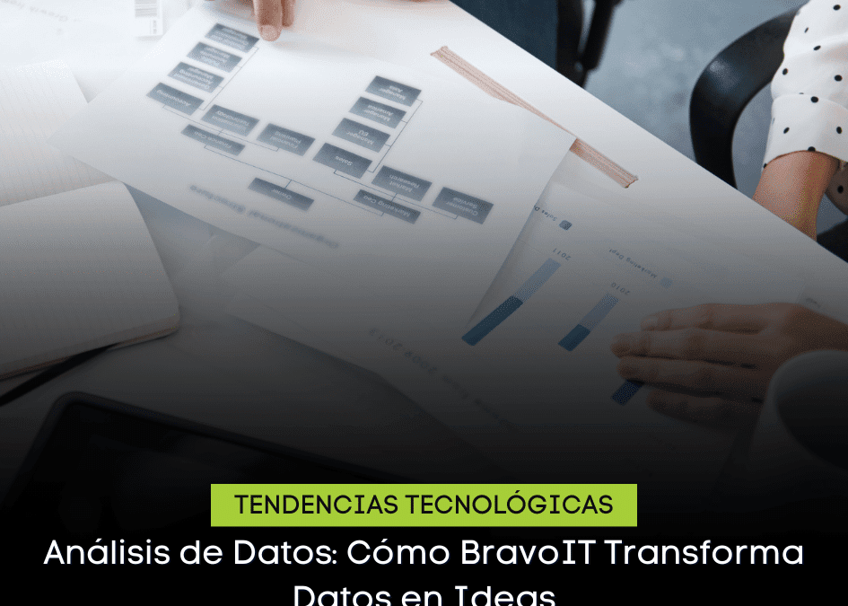 Análisis de Datos: Cómo BravoIT Transforma Datos en Ideas